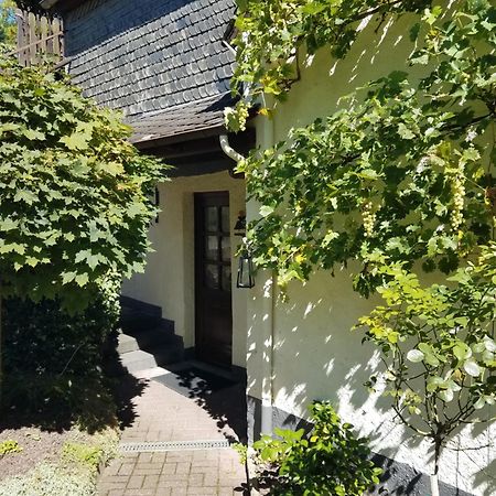 Ferienhaus In Der Hohl Cochem Exteriér fotografie